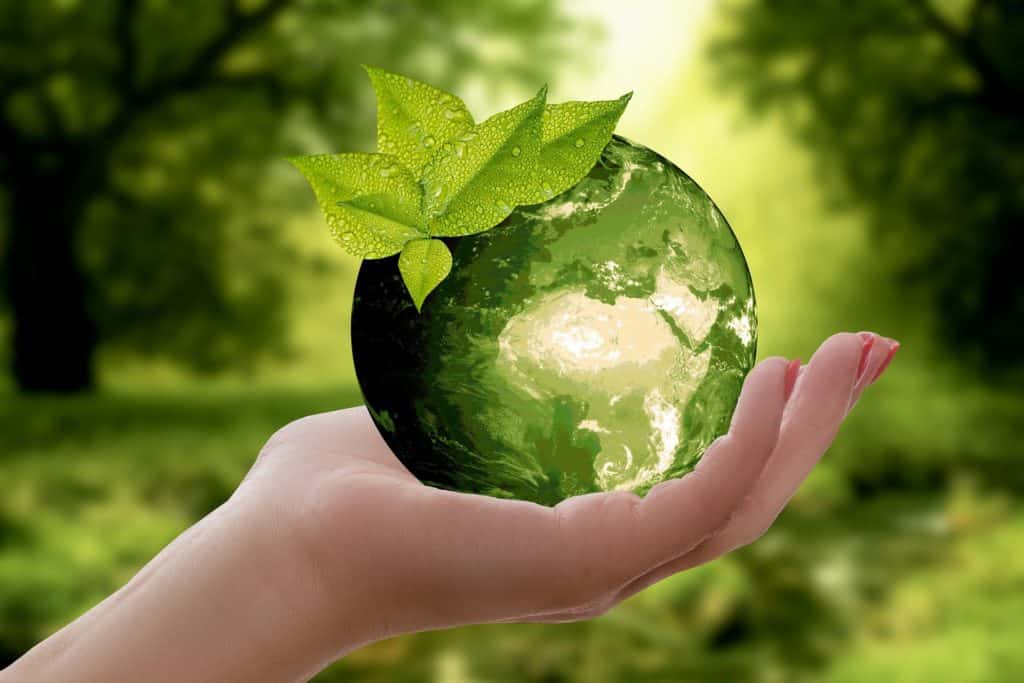 entreprise-nettoyage-respect-environnement-1024x683